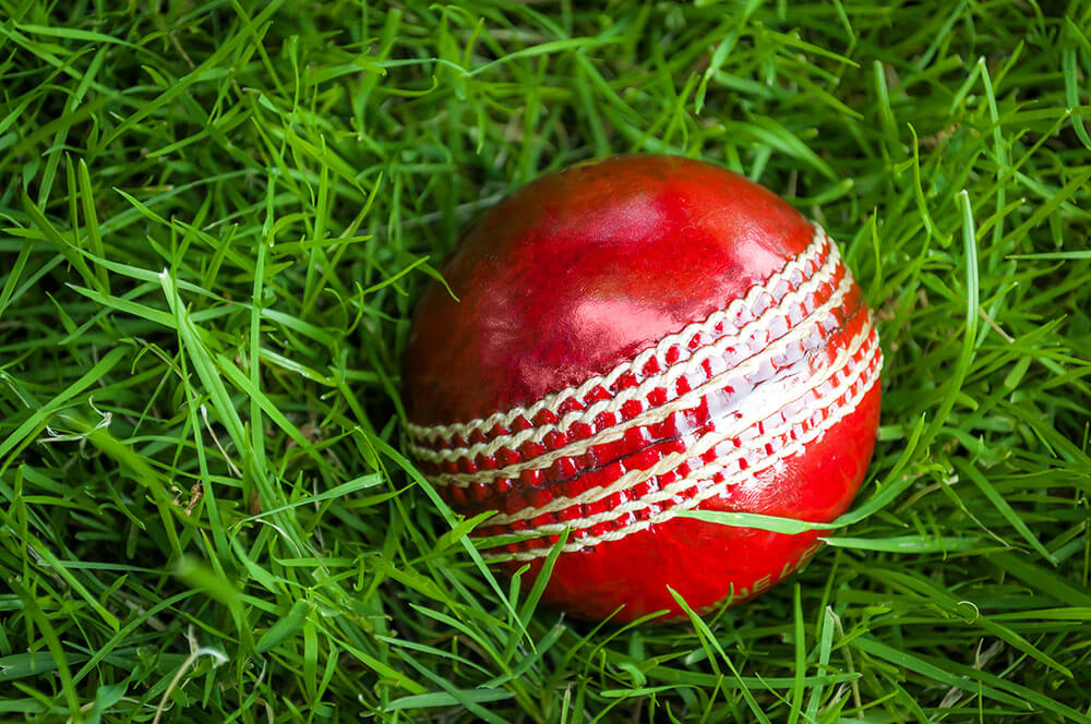 Cricket Balls