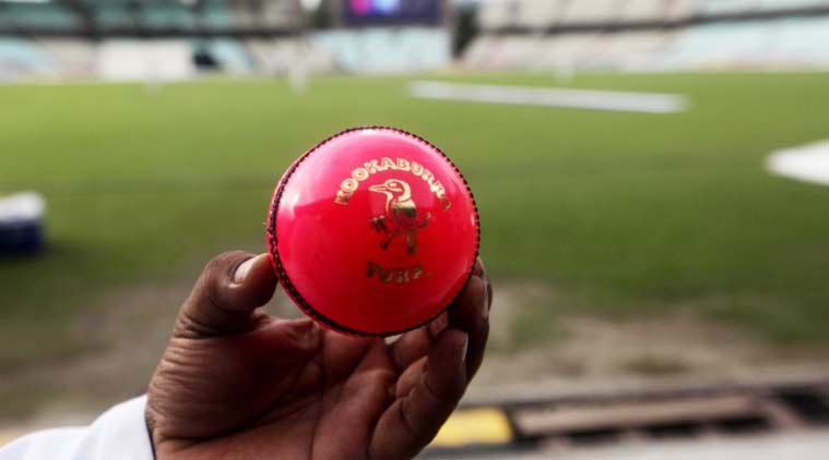 A close-up of a pink ball used in day-night Tests, highlighting its unique texture.