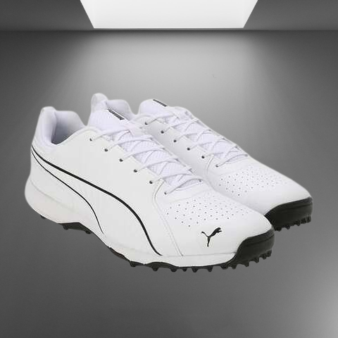 Cricket Shoes