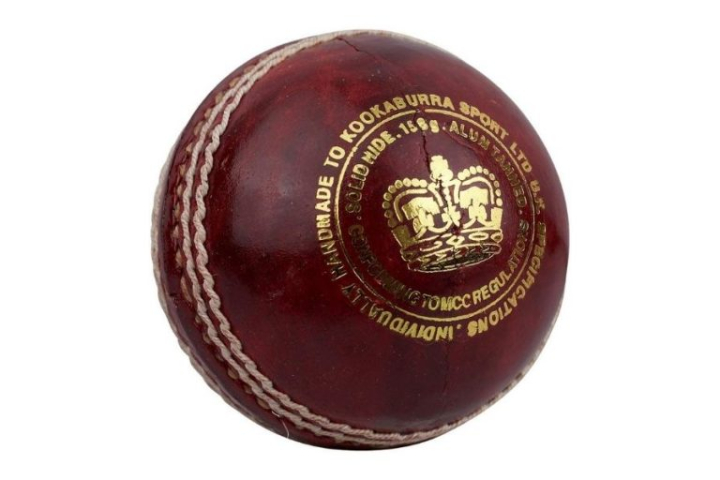 14 Best Cricket Ball Brands in India