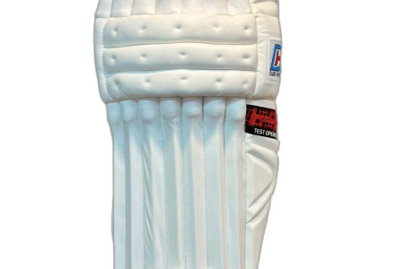 White & Blue Cricket Batting Pads