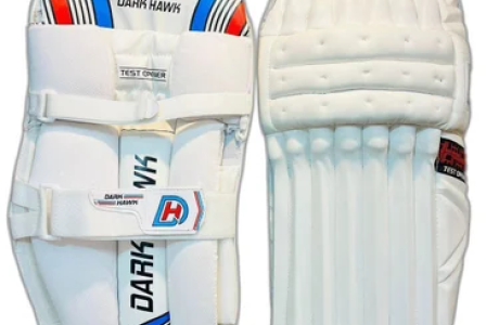 White & Blue Cricket Batting Pads