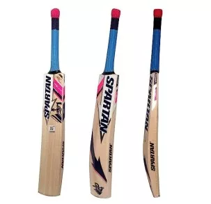 Cricket bat image 1