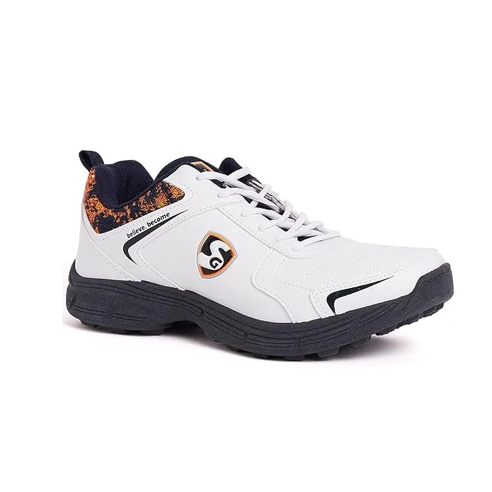 Shoe