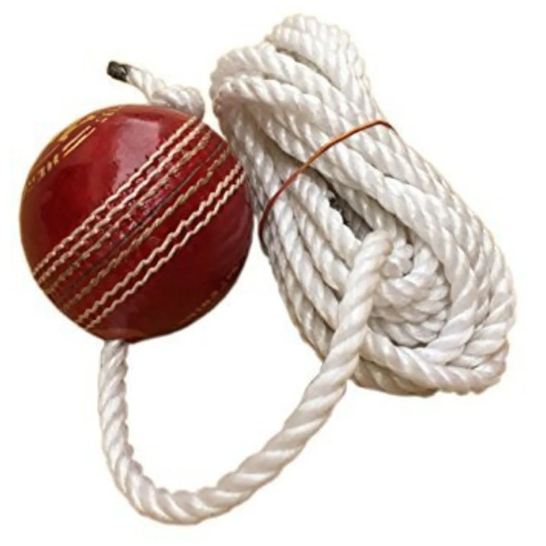 Leather Cricket Shot Practice Hanging Ball